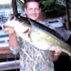 natron22